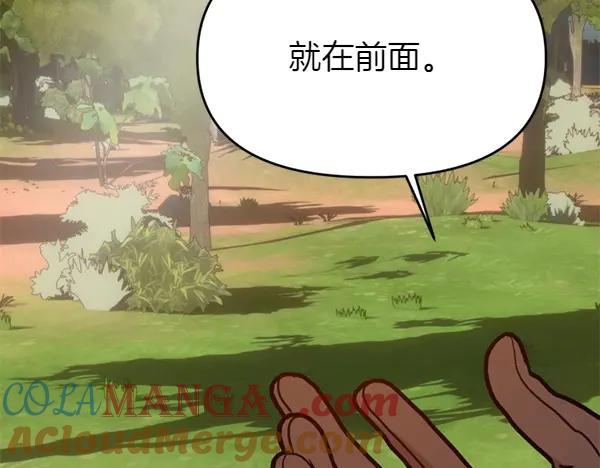 第205页
