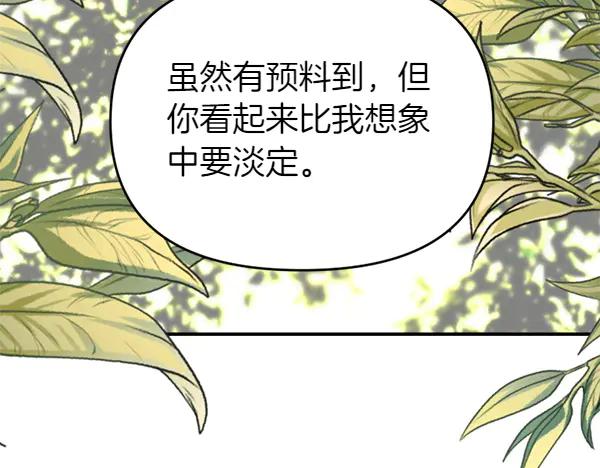 第239页