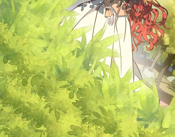 第242页