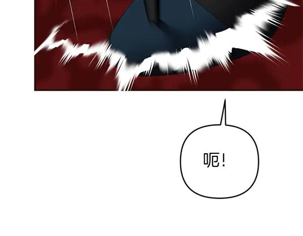 第223页