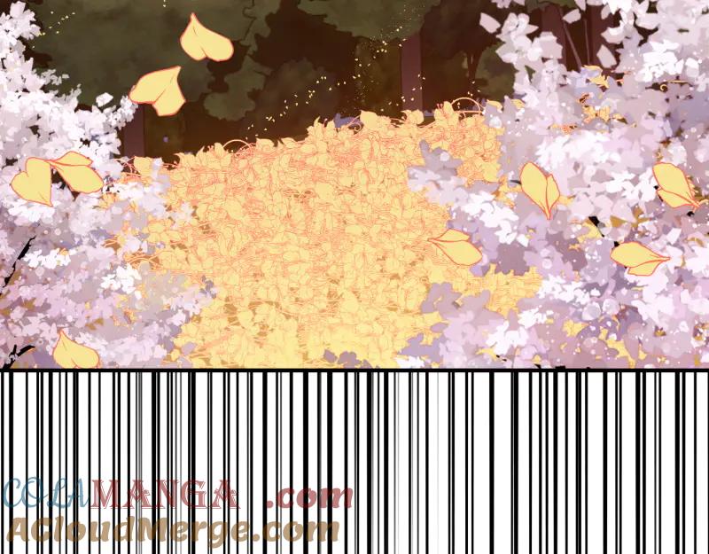 第205页