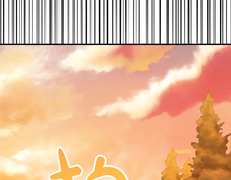 第206页
