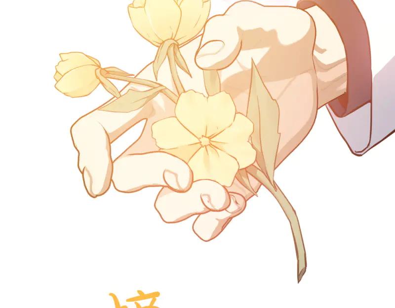 第215页