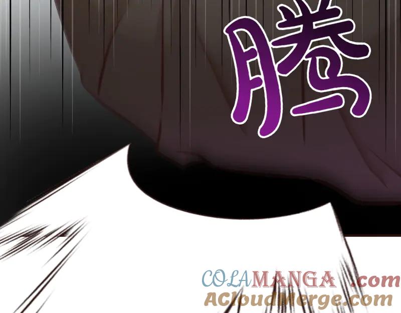 第241页