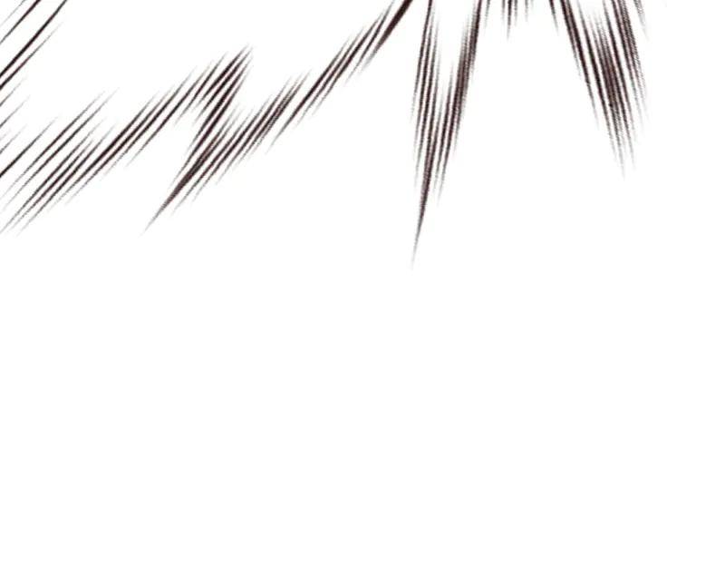 第242页