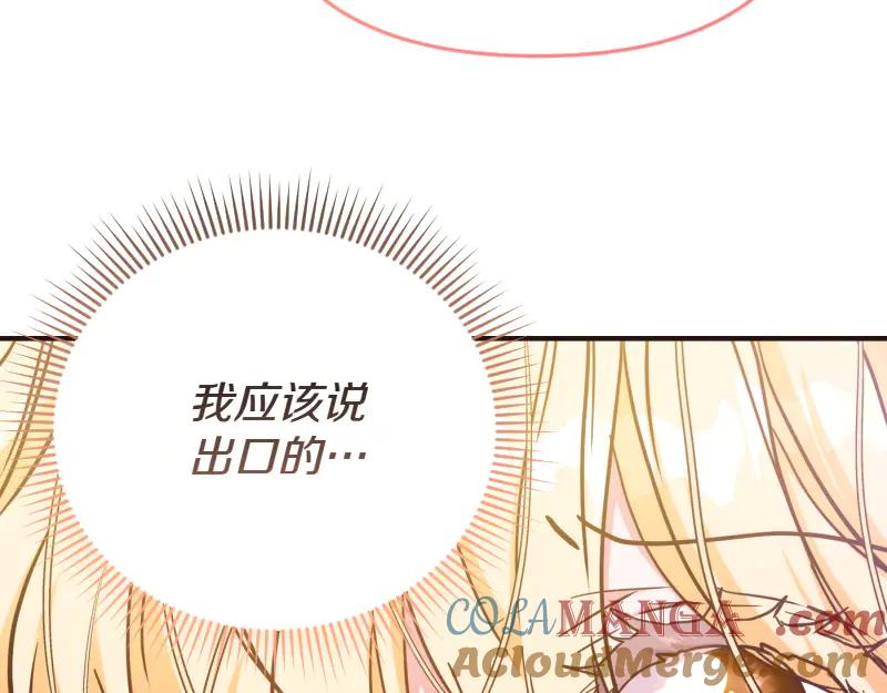 第221页
