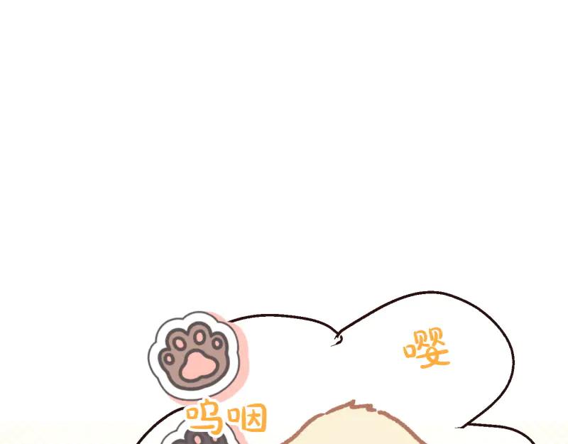 第508页