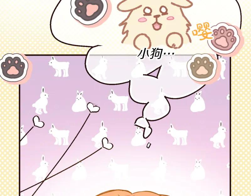 第511页
