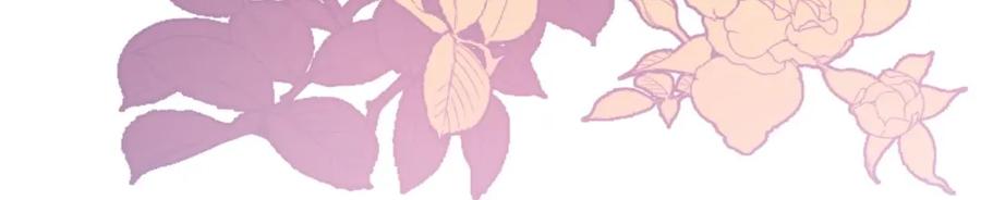 第235页