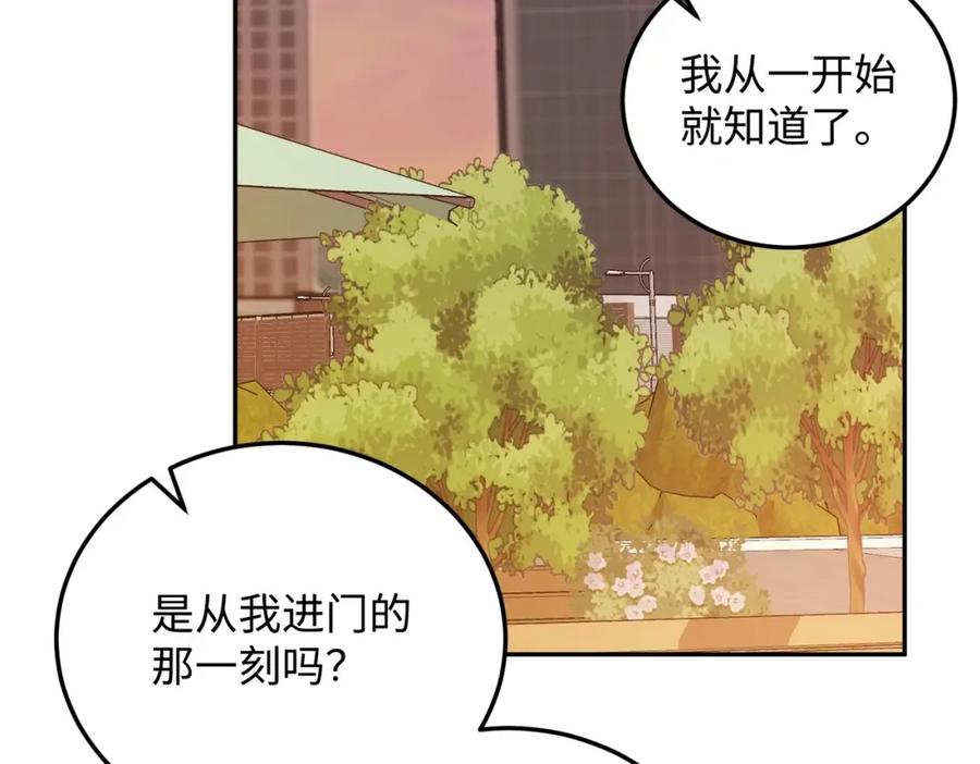 第223页