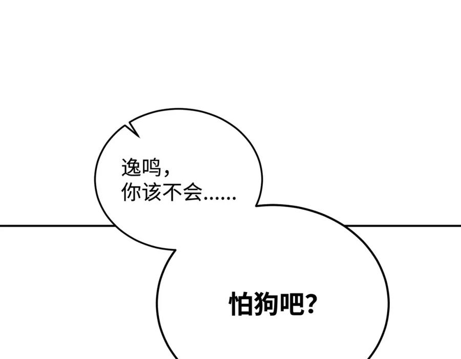 第204页