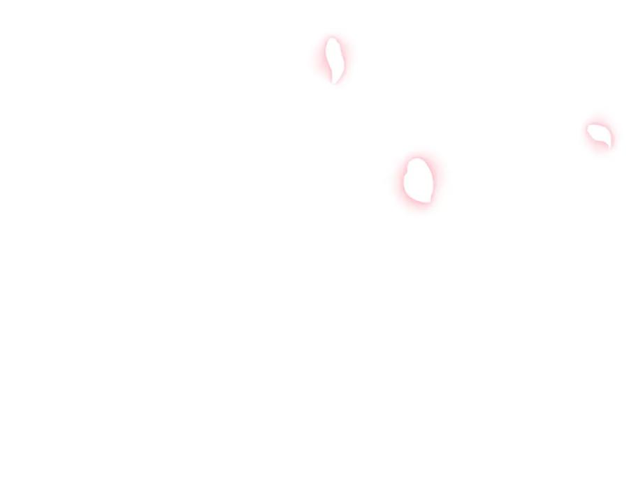 第228页
