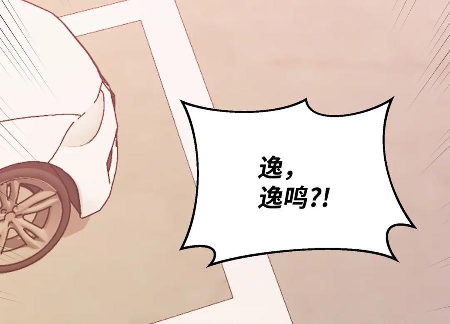 第255页