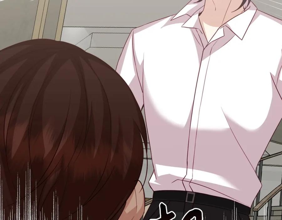 第242页