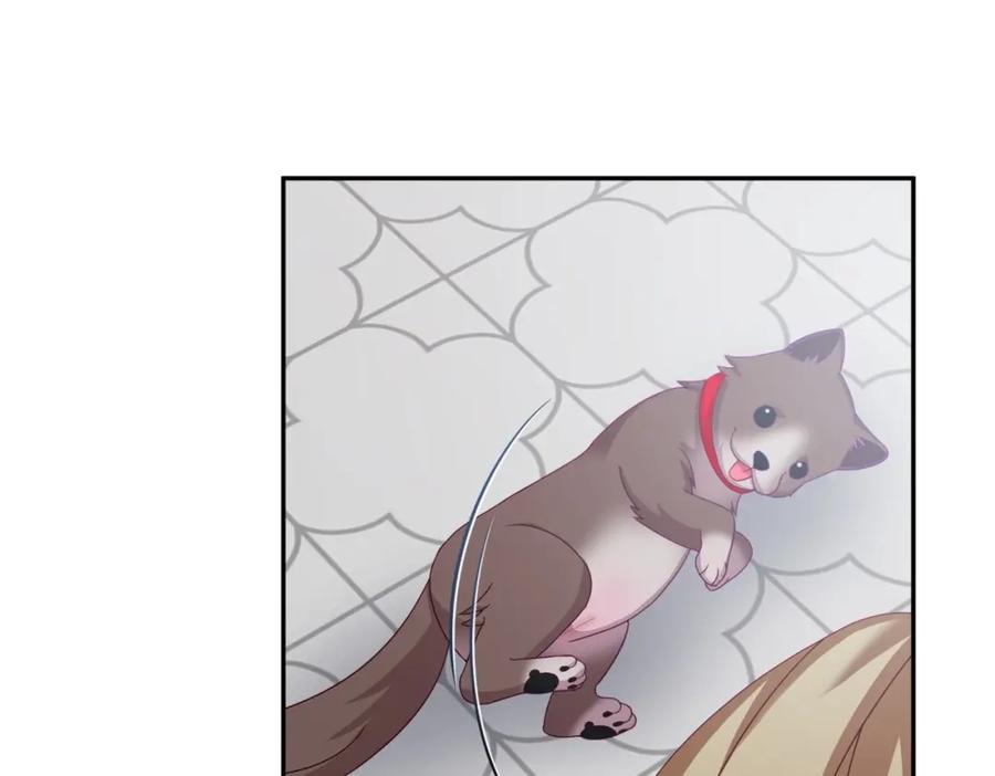 第178页