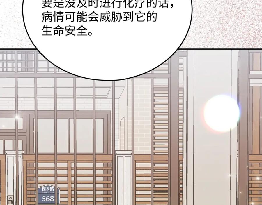 第194页