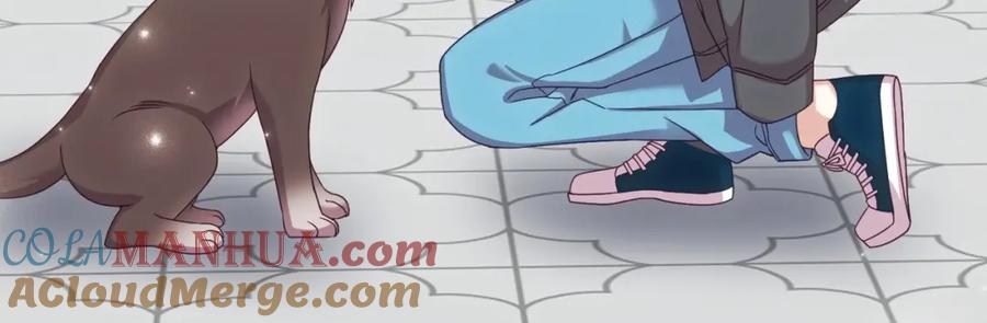 第196页