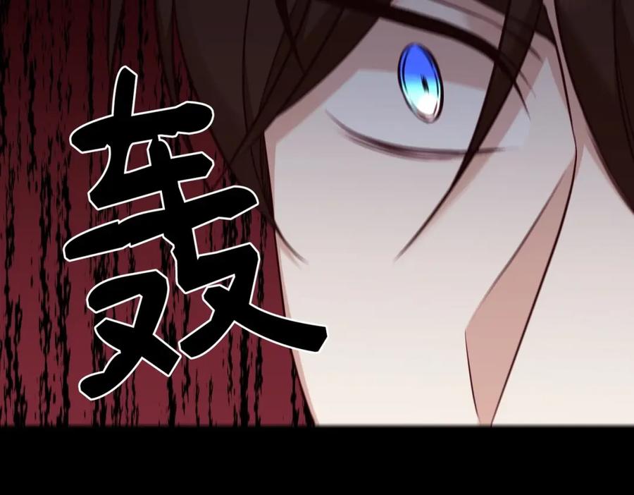 第223页