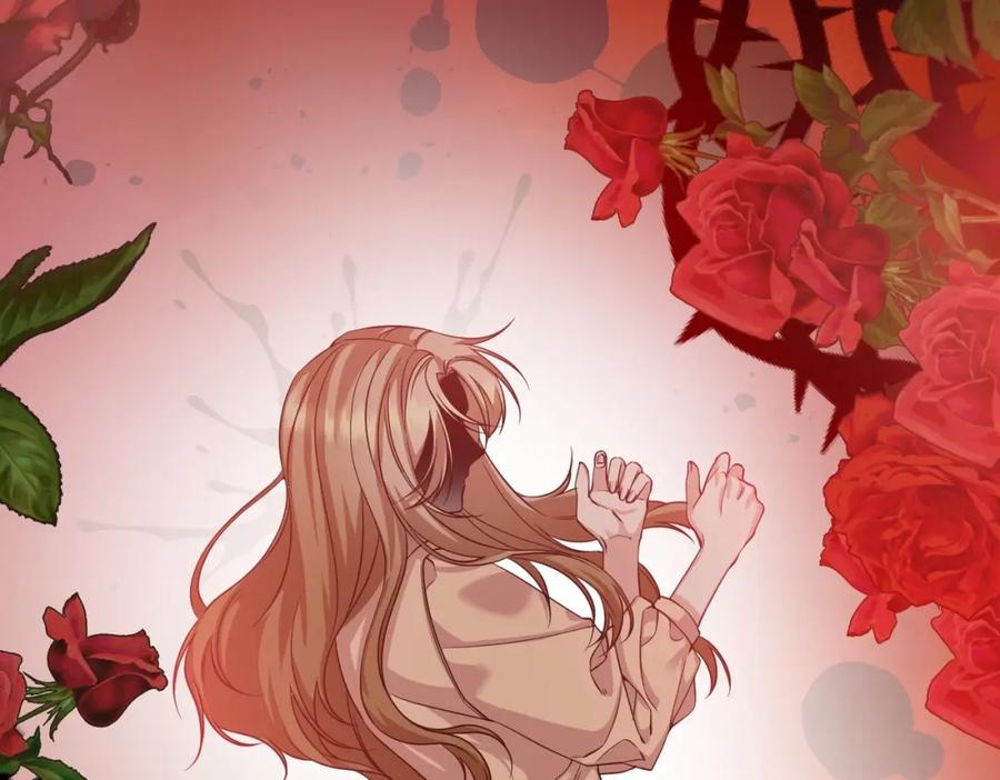 第260页