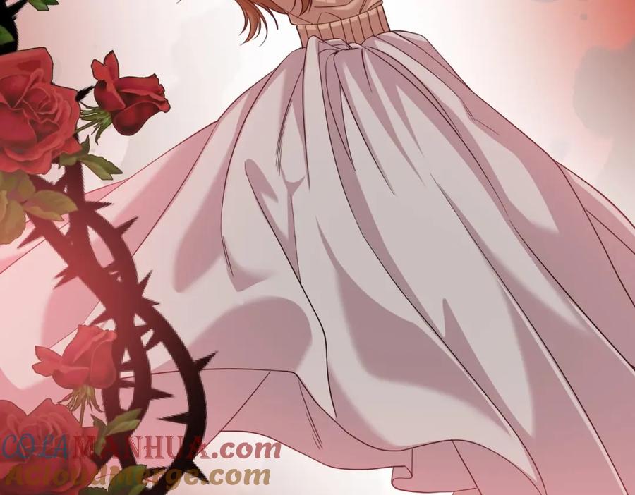 第261页