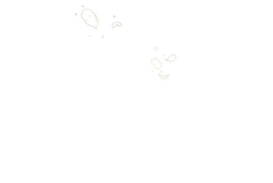 第240页