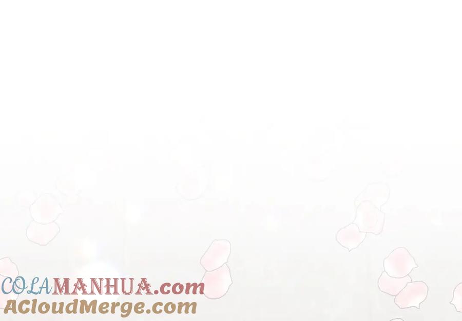 第221页