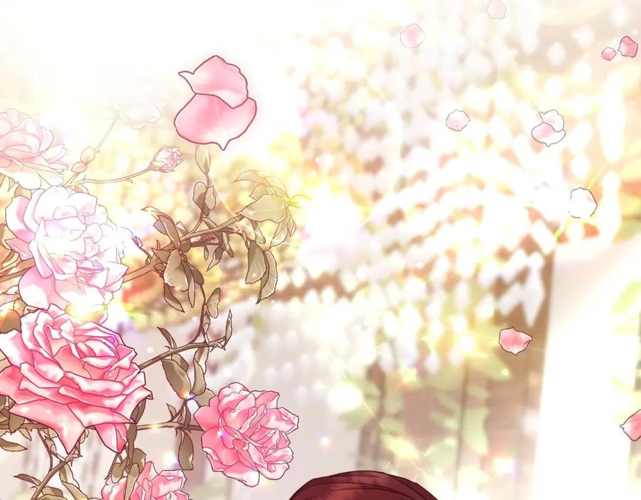 第262页