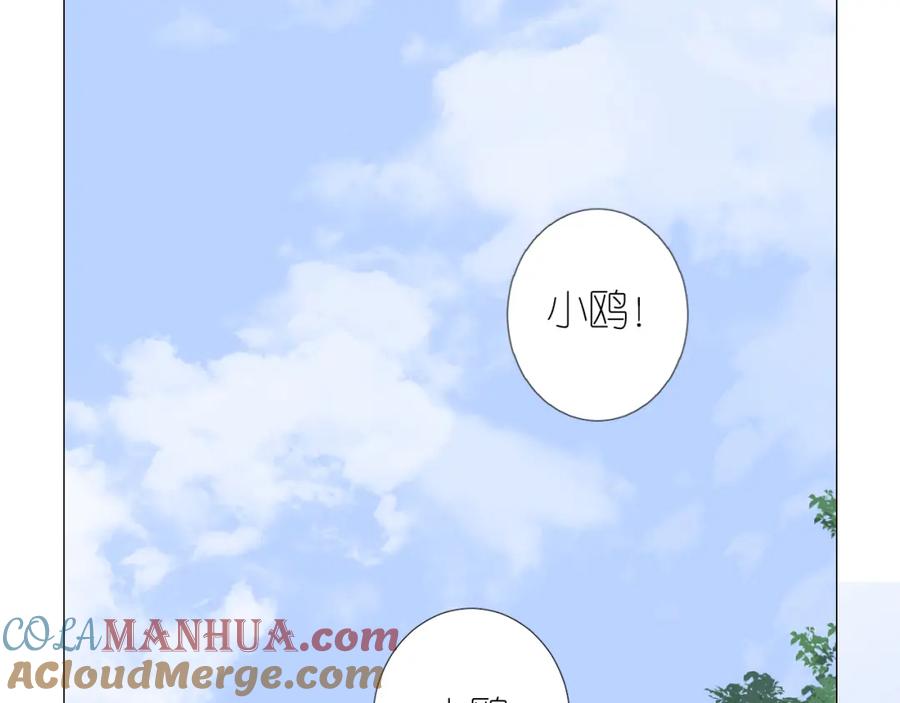 第205页