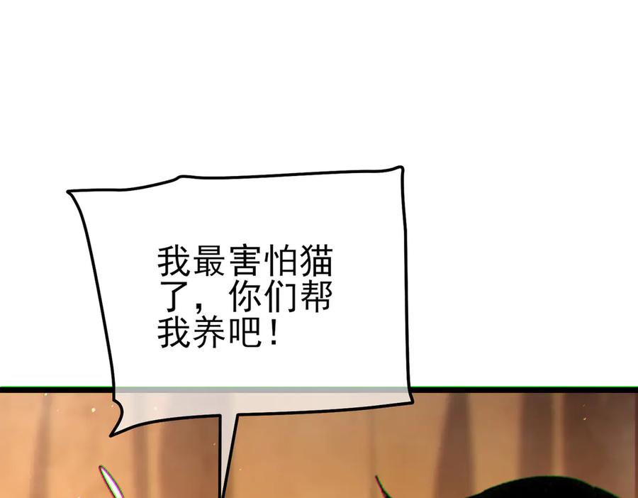 第355页