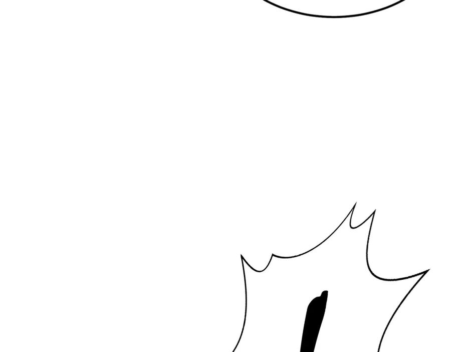 第224页