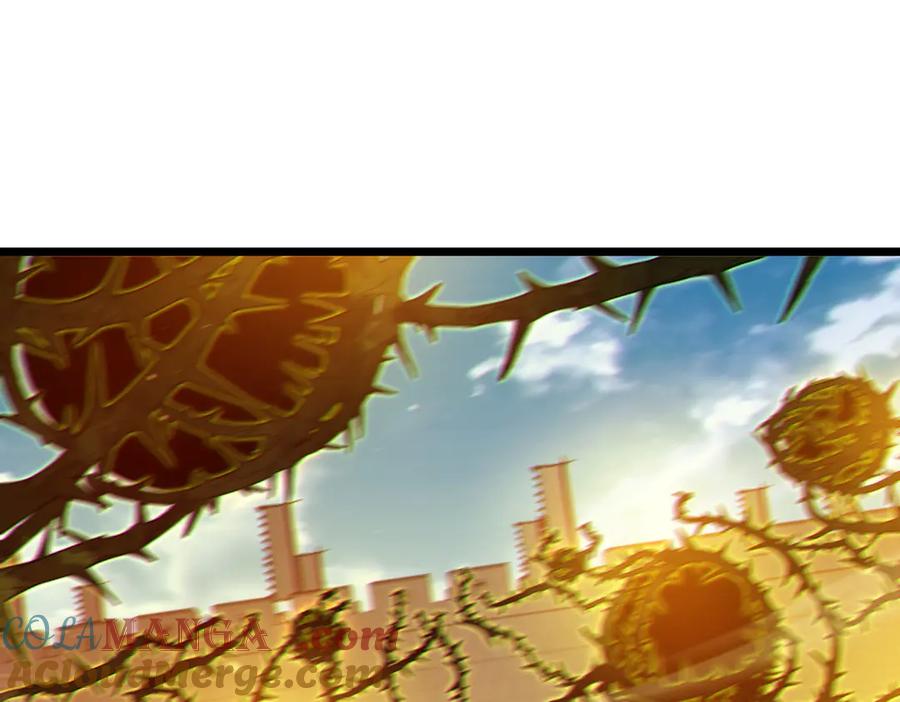 第273页