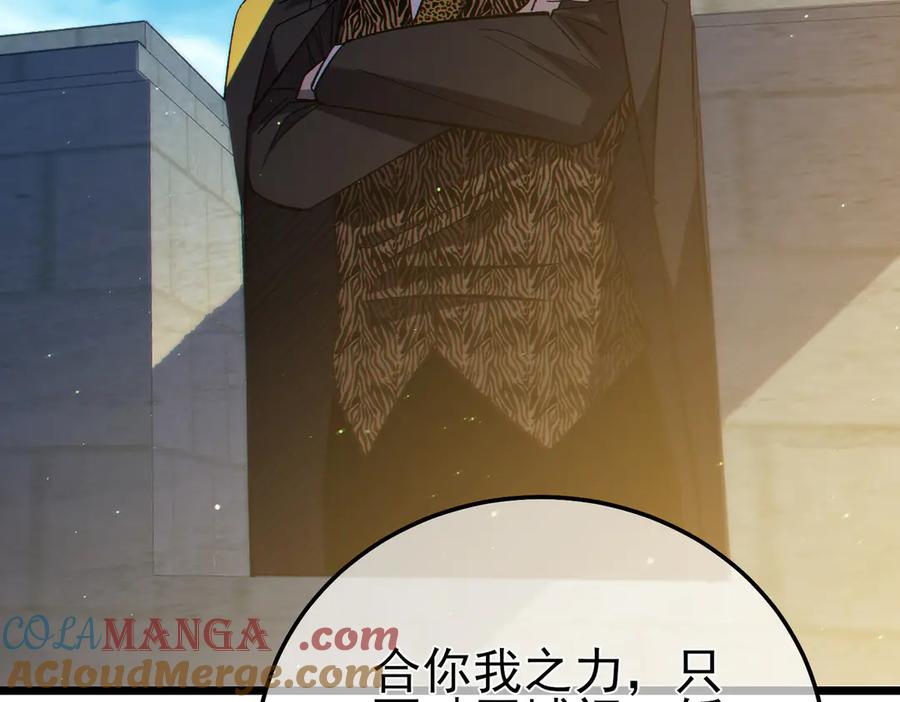 第337页