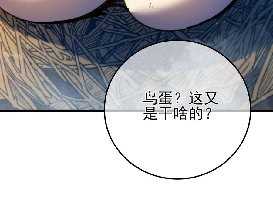 第262页