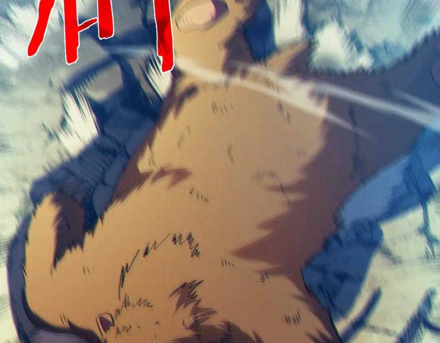 第238页