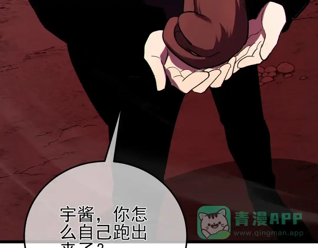 第529页