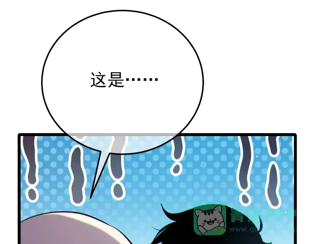 第204页