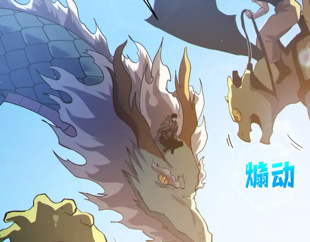 第229页
