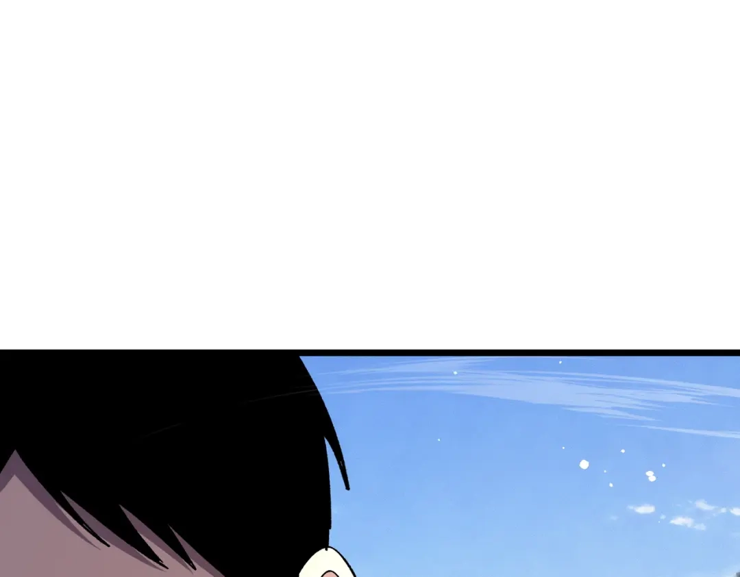 第229页