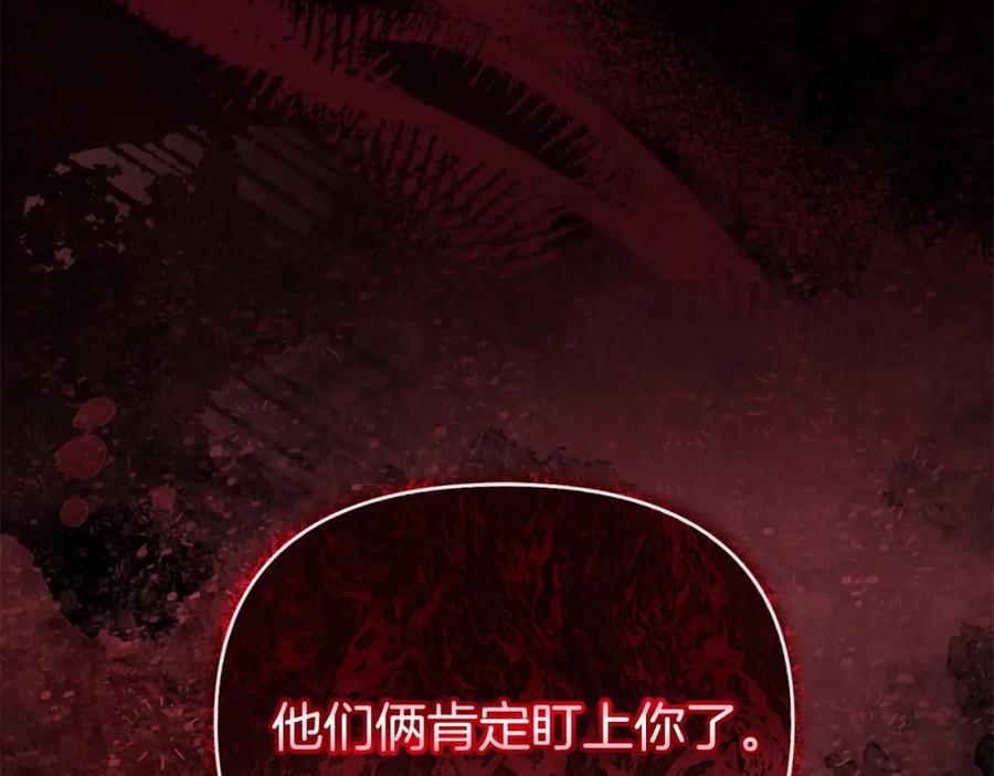 第243页