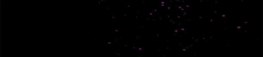 第243页
