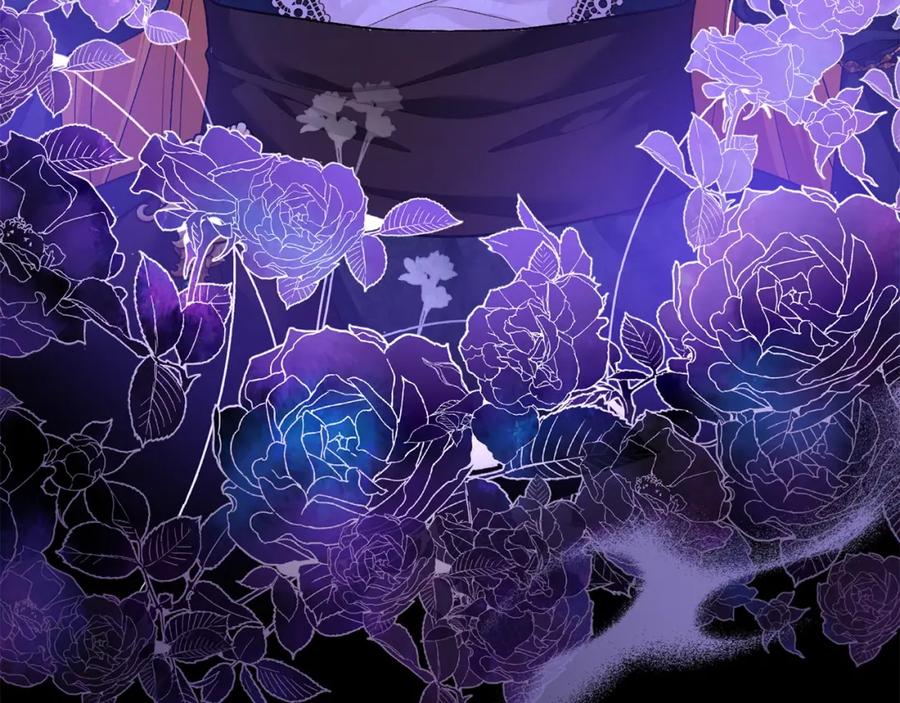 第223页