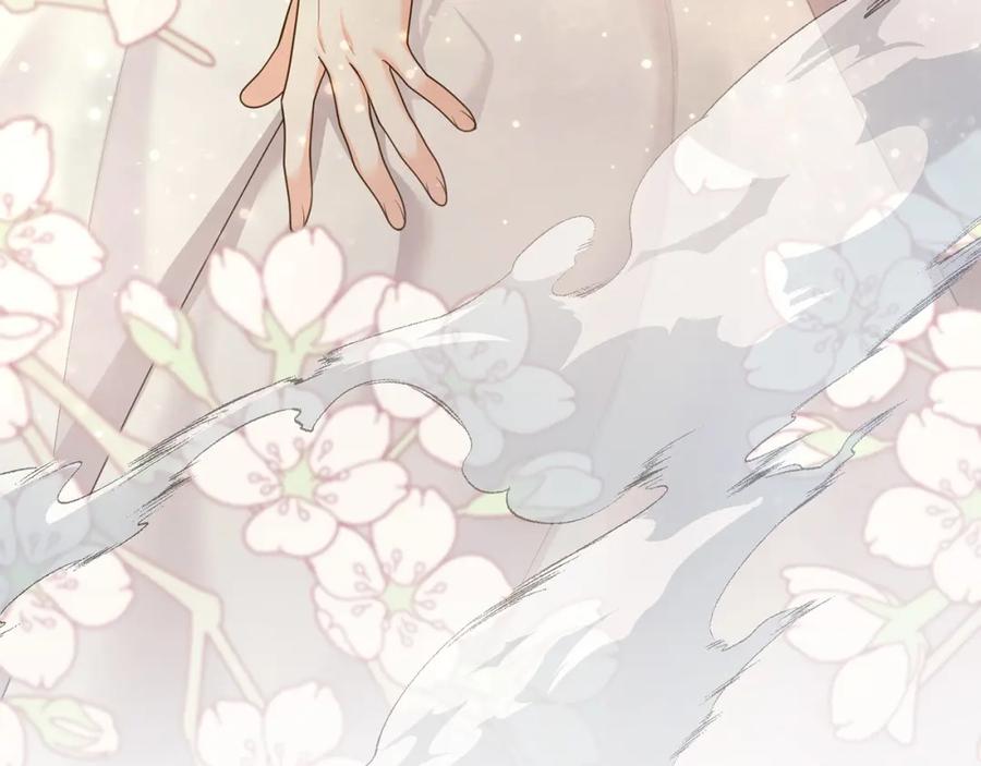 第242页