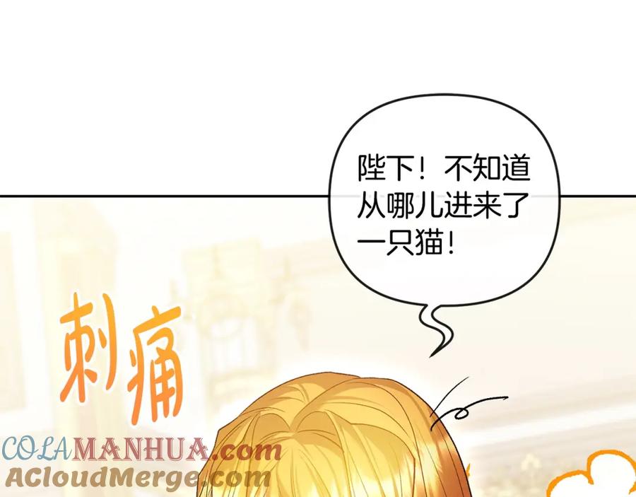 第225页