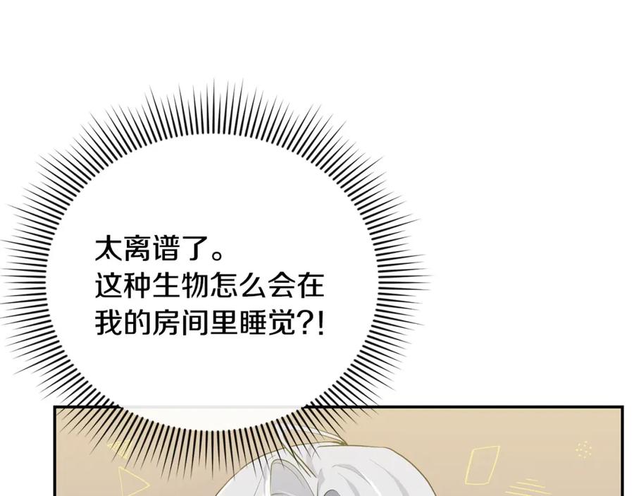 第217页