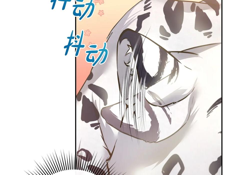 第223页