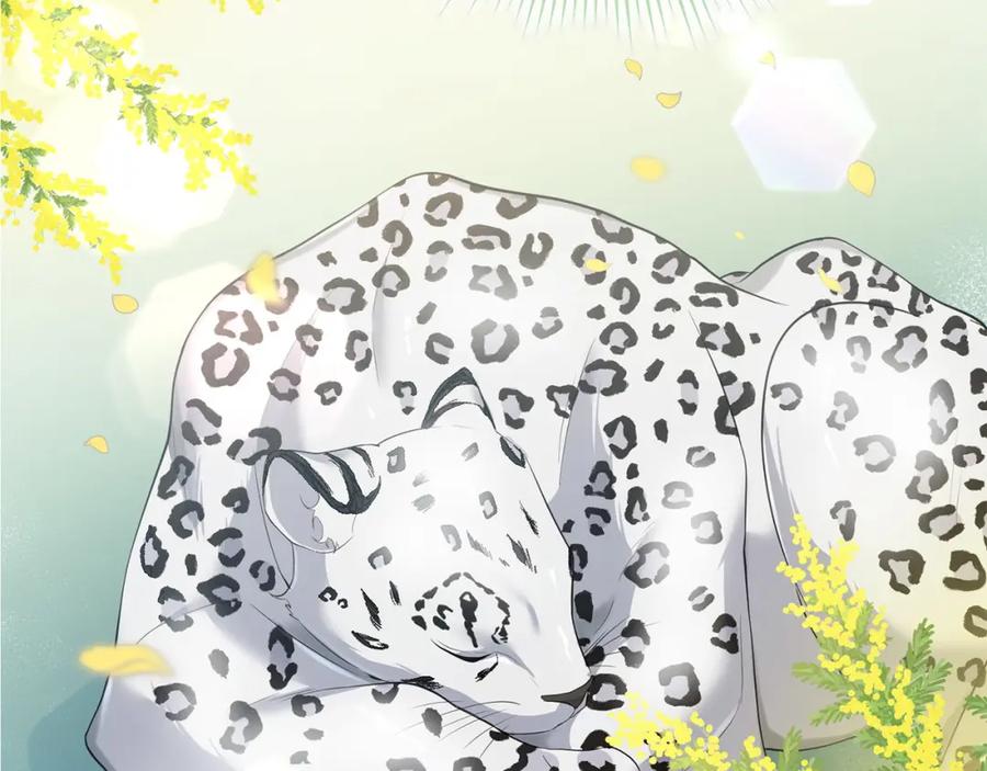 第229页