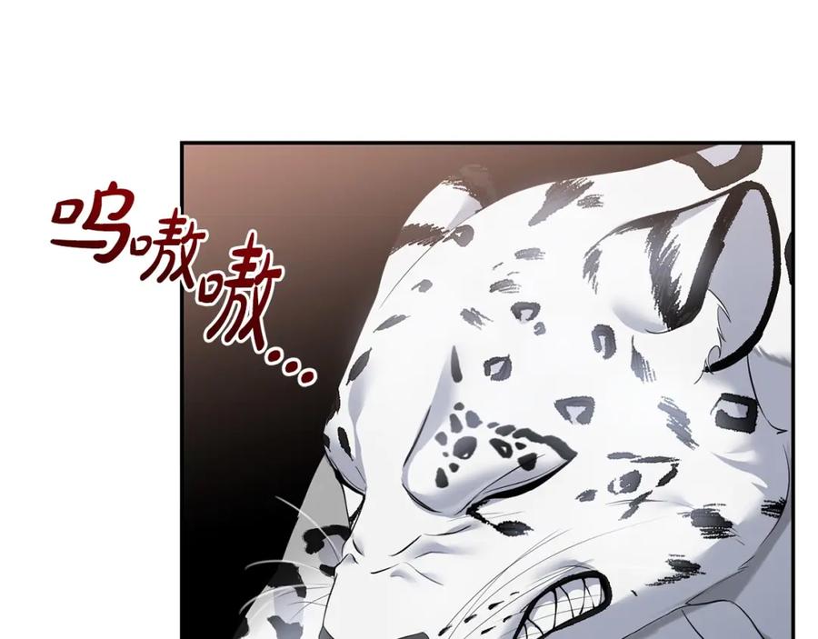 第235页