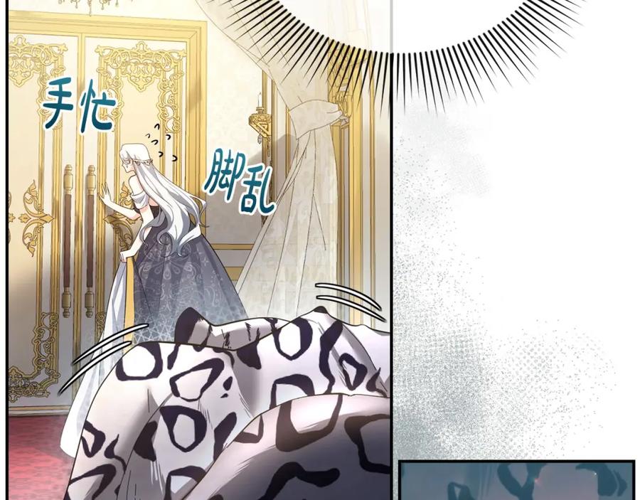 第242页
