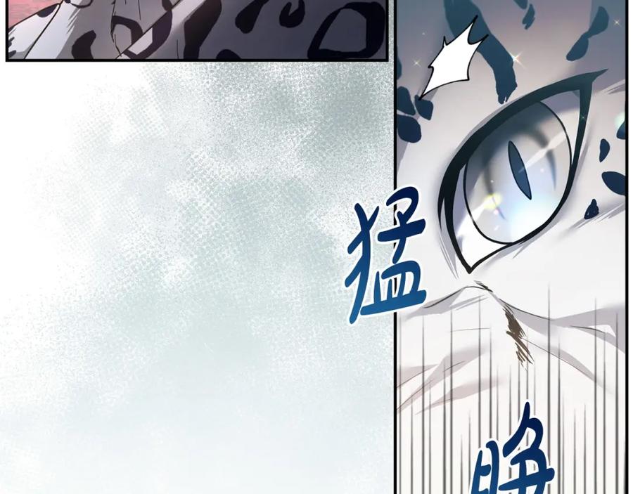 第243页