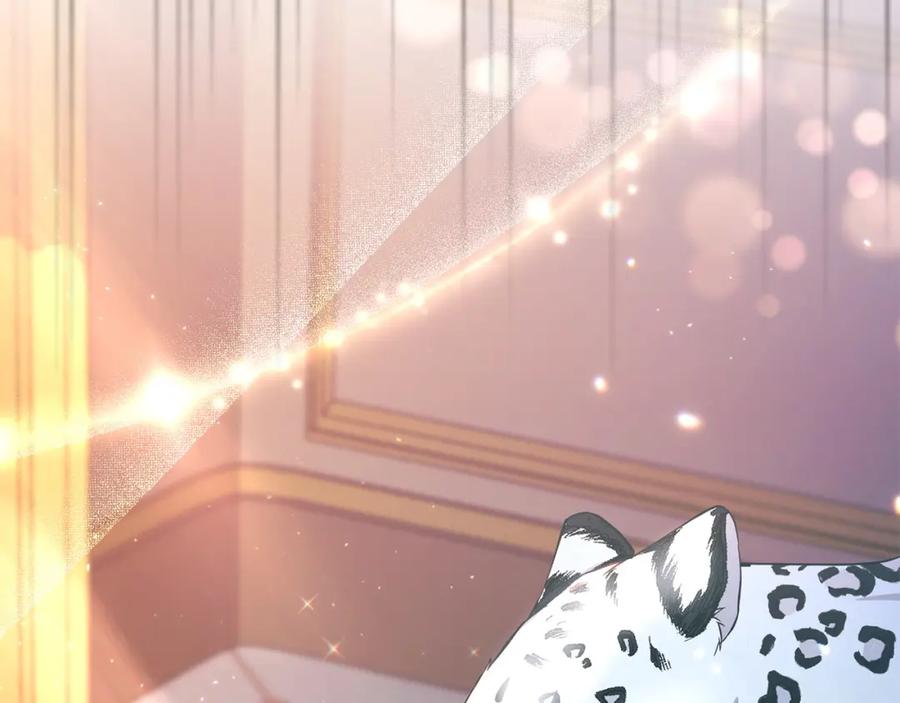 第255页